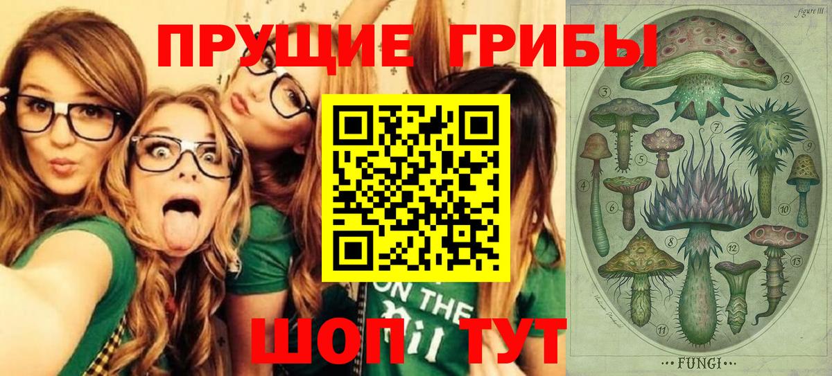 Псилоцибиновые грибы прущие грибы Кыштым