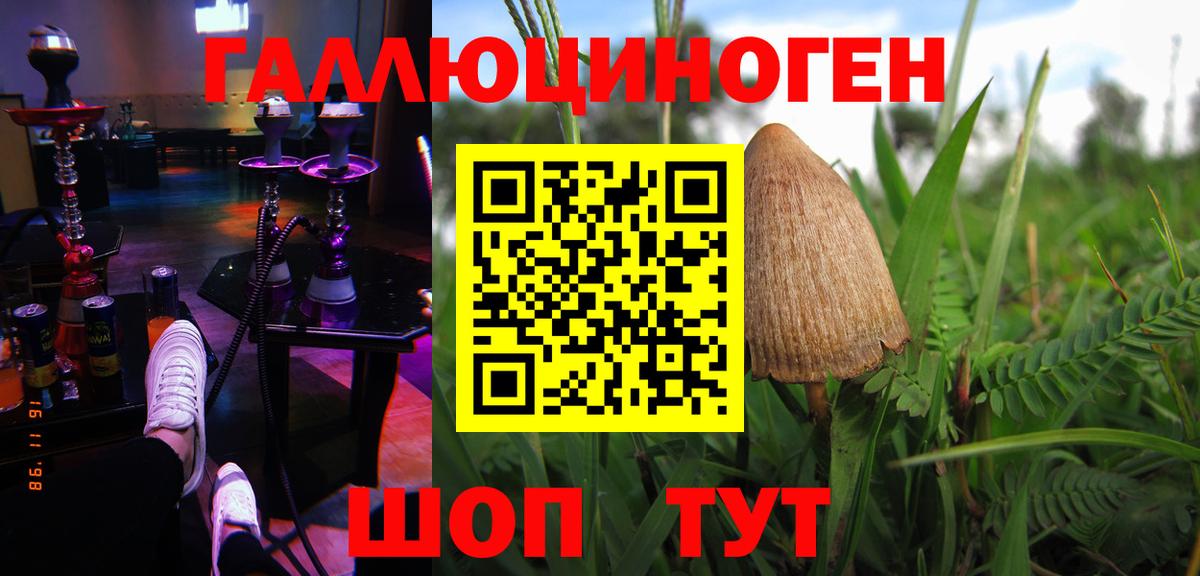 Кыштым  Галлюциногенные грибы Cubensis  Вход с VPN  Псилоцибиновые грибы мицелий 